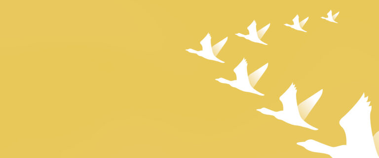 Stylized silhouette of geese flying in V formation on a gold background